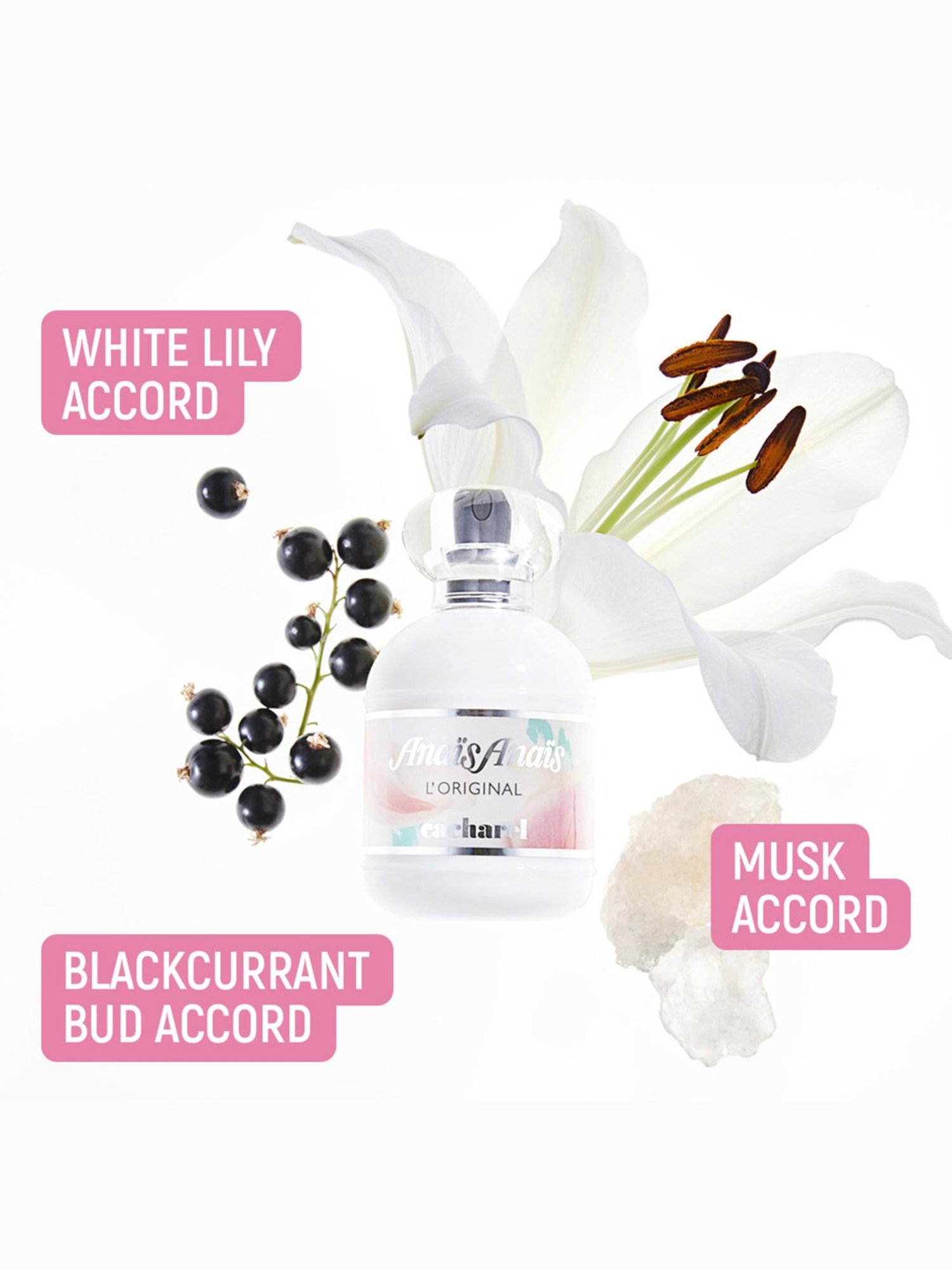 Dorall Collection Monte Carlo Oud Eau de Toilette for Men - 100 ml