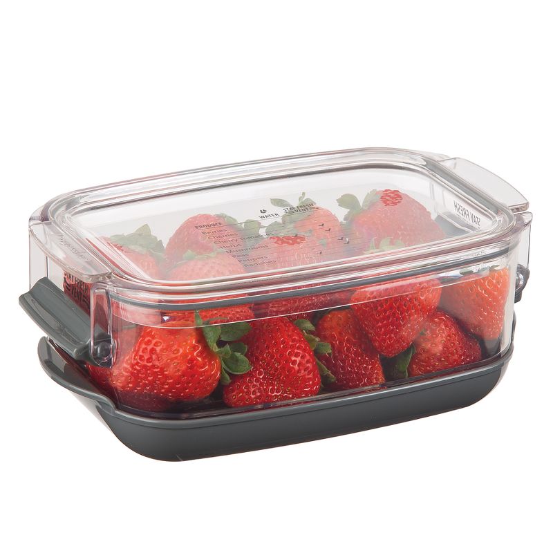 Prepworks 1.2qt Berry ProKeeper
