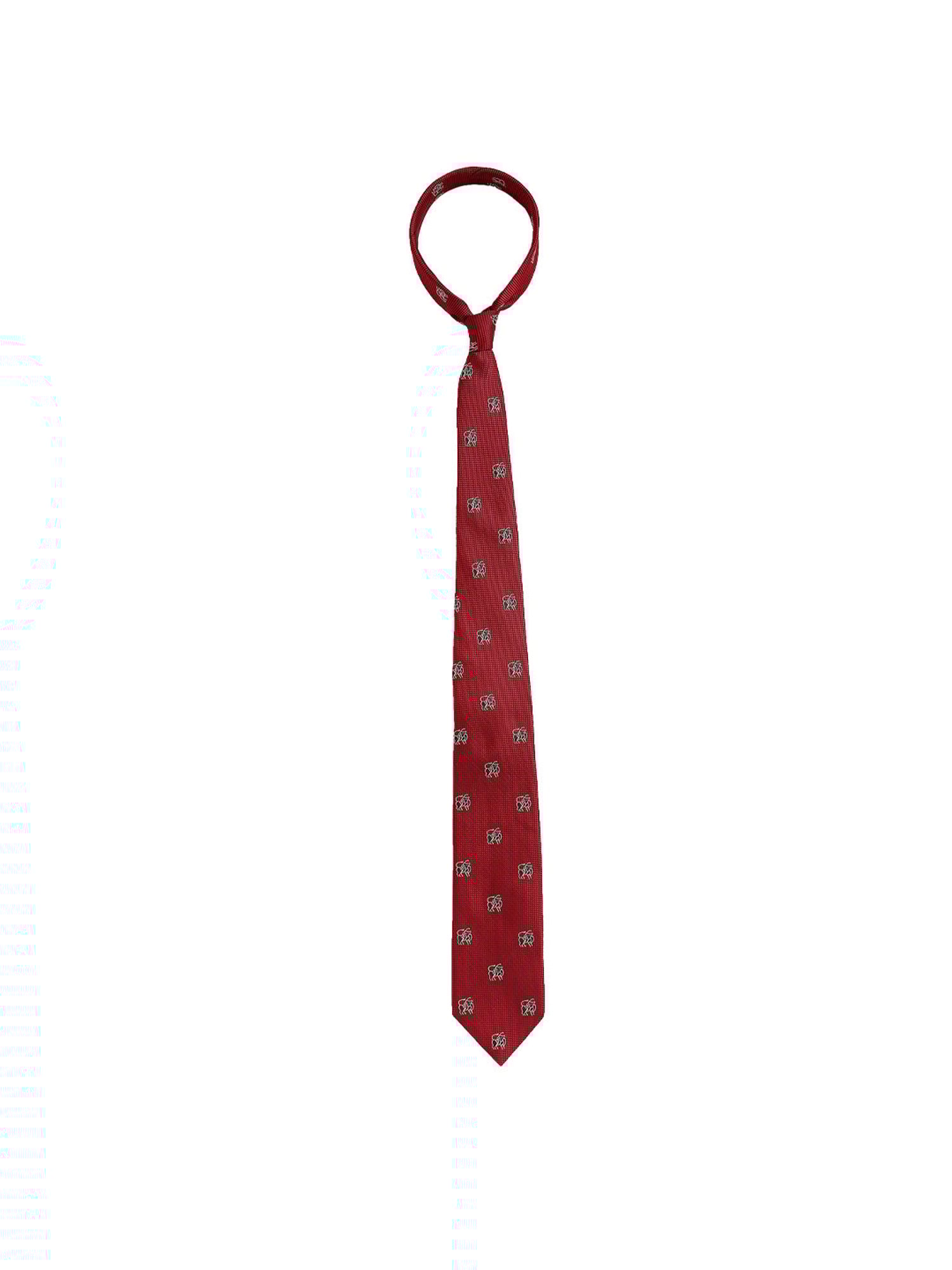 Alvaro Castagnino Red Woven Tie