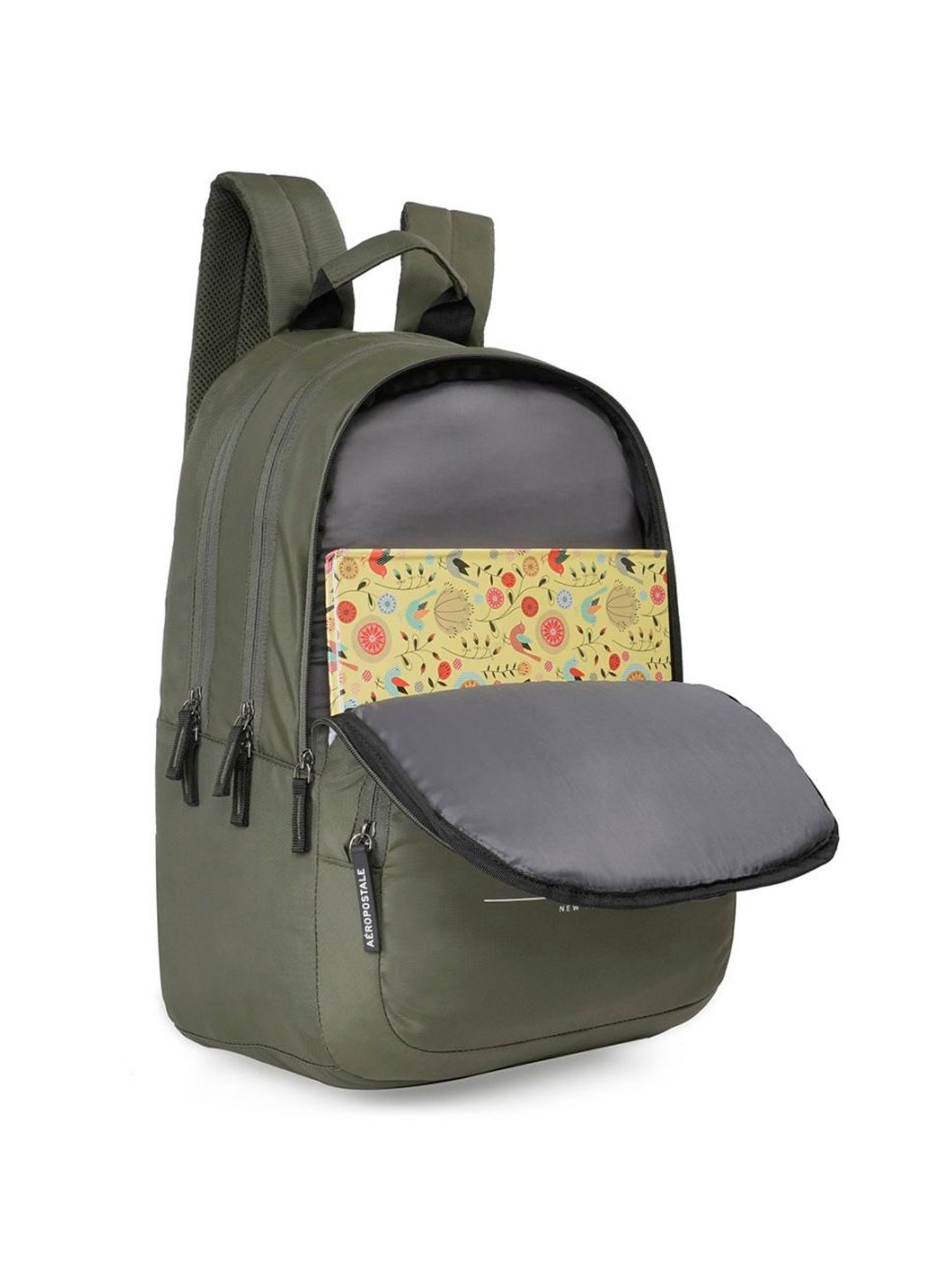 Aeropostale Wilton Olive & Off White Polyester Color Block Laptop Backpack - 24 Ltrs