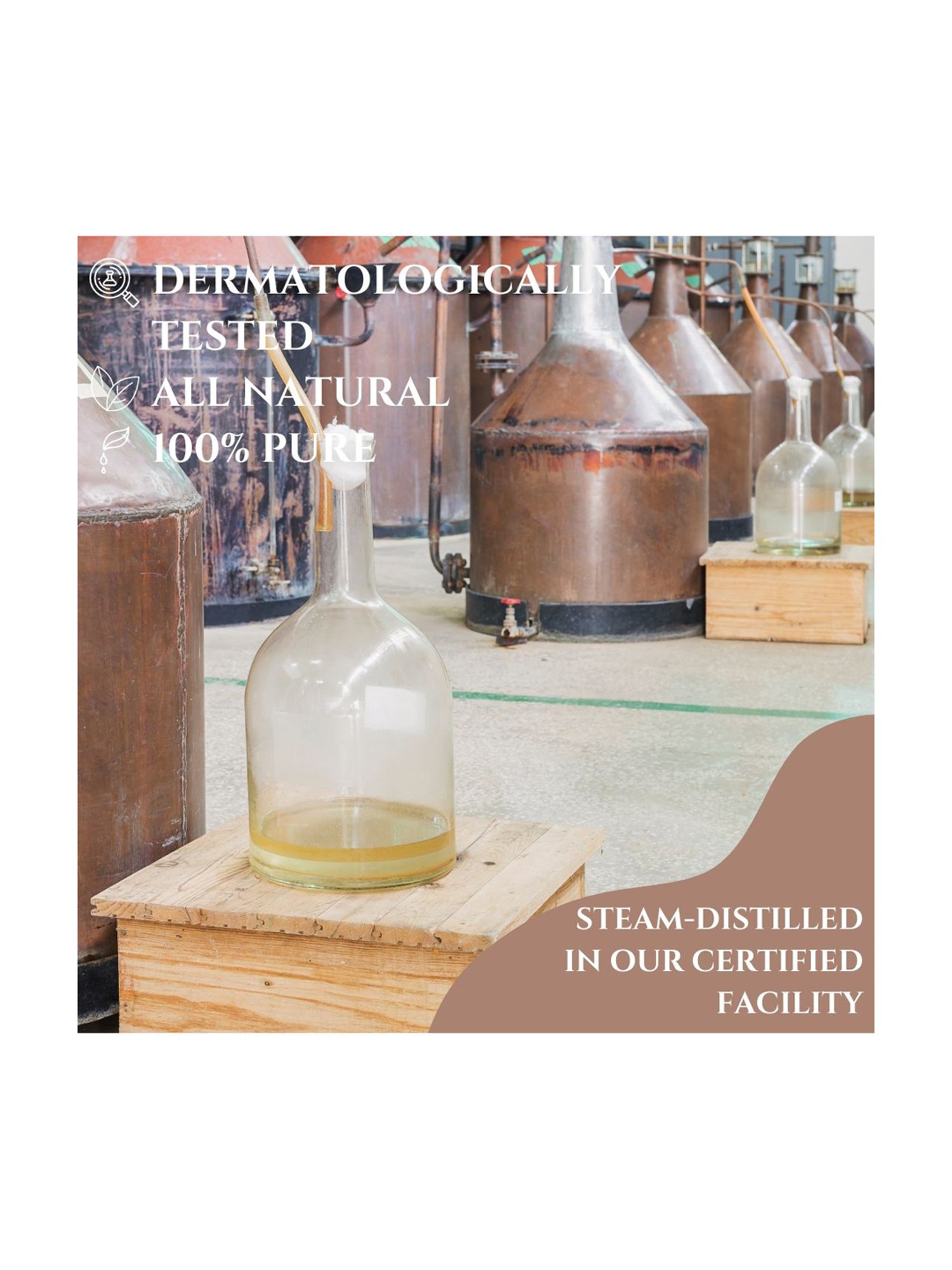 Essentia Extracts Rosemary Essential Oil - 15 ml