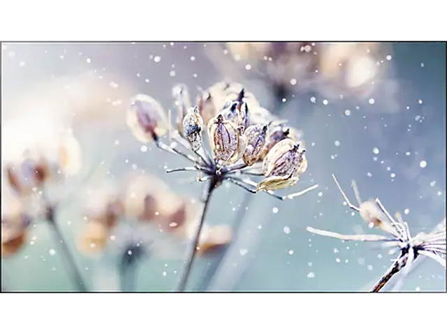 Video Wall Controller & Player 2x2 4K 3840x2160@30Hz Processor HDMI 1.4 HDCP 1.4 Support 2x2,1x2,1x4 Modes with 1 HDMI Input 4 HDMI Output