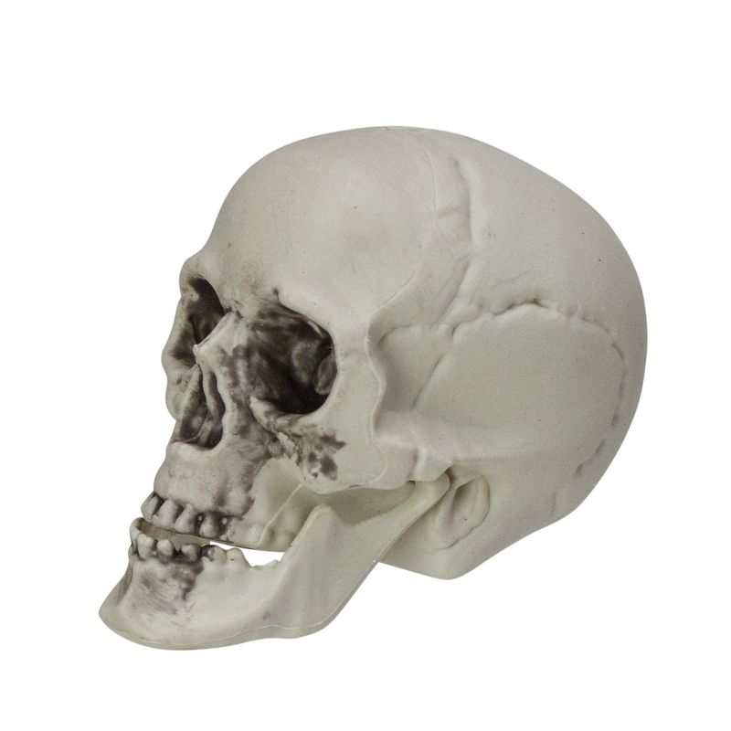 Northlight 3.5" Skeleton Skull Heads with Open Mouths Halloween Decorations 6ct - White/Gray