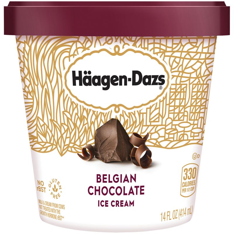Haagen-Dazs Destination Series Belgian Chocolate Ice Cream - 14oz