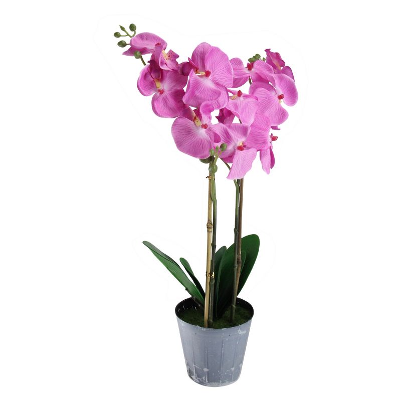Northlight 20" Phalaenopsis Orchid Flower Artificial Potted Plant - Pink