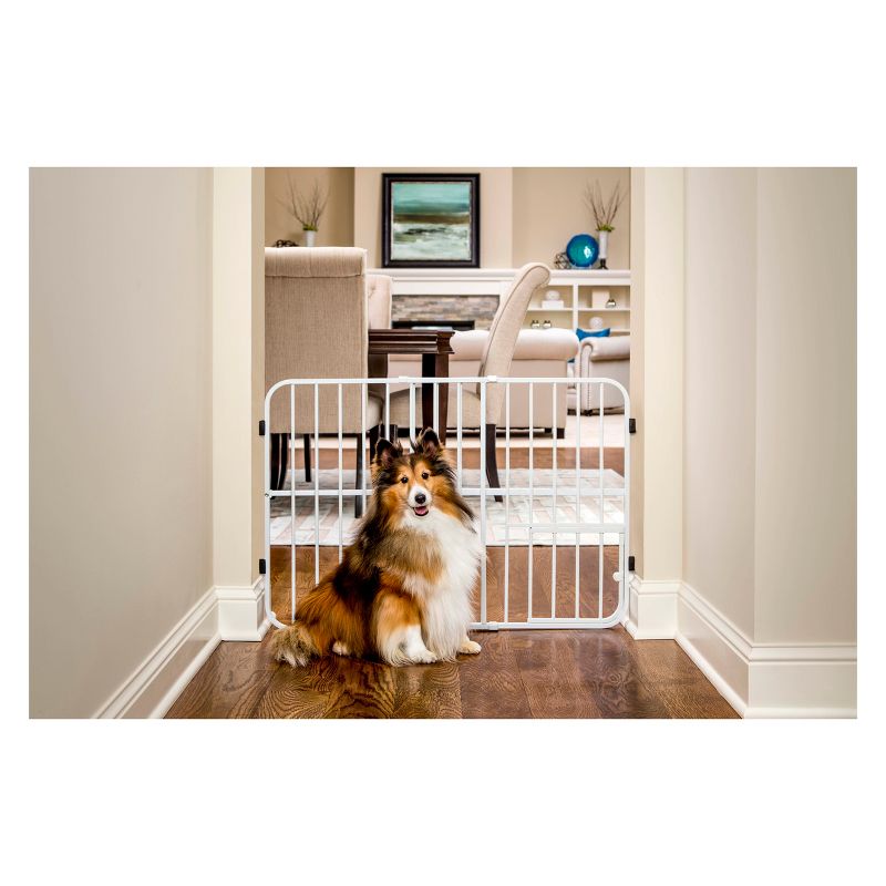 Carlson Expandable Gate with Small Dog Door - White