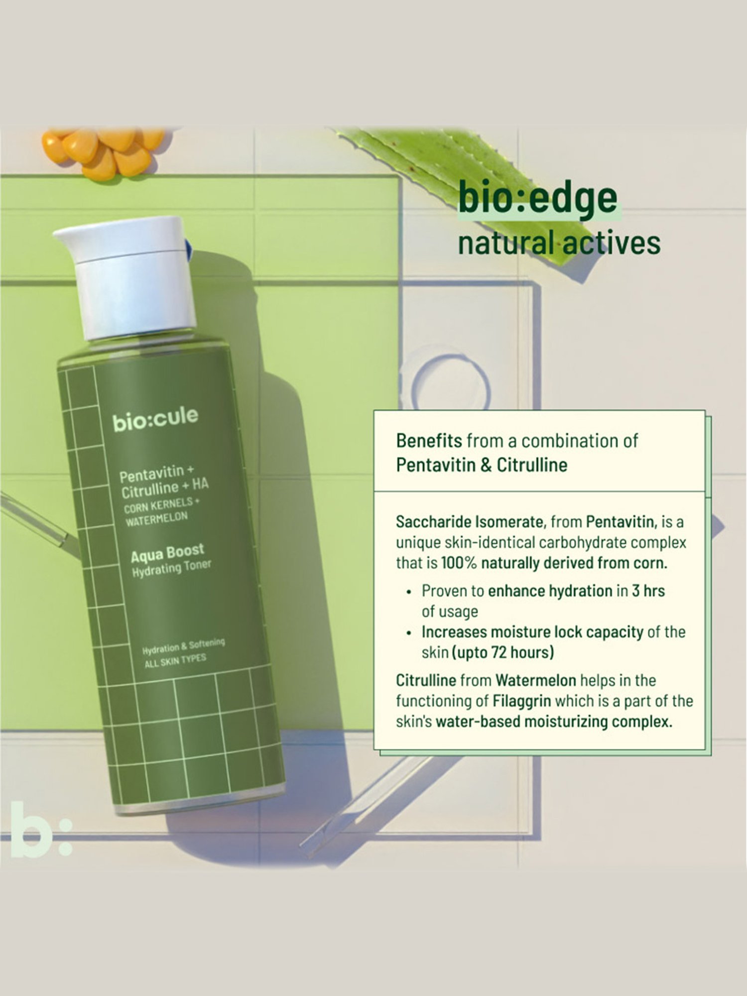 Biocule Aqua Boost Hydrating Toner - 100 ml