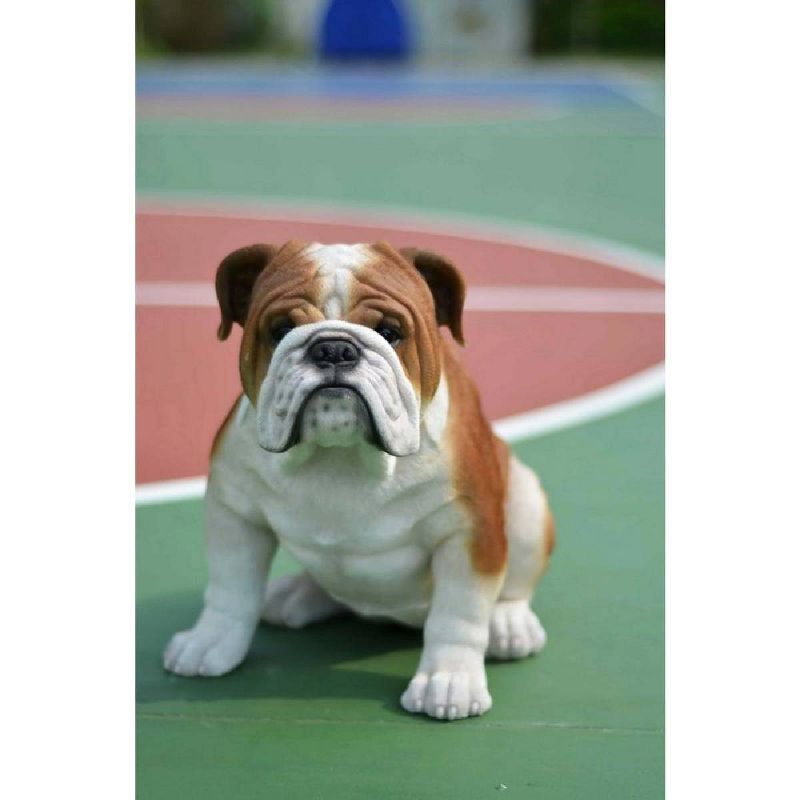 14.5" Polyresin Sitting Large Bulldog Statue Brown/White - Hi-Line Gift