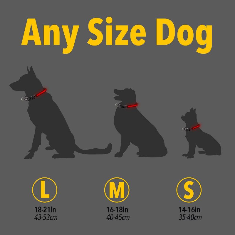 Life+Gear Rechargeable Glow Dog Collar - S