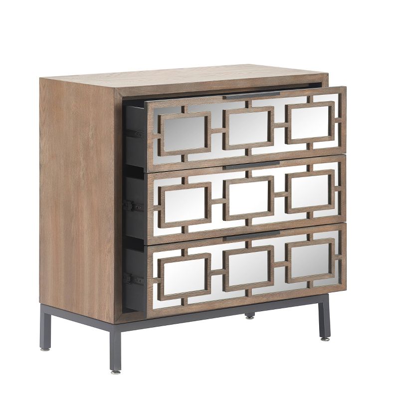Hayworth 3 Drawer Mirrored Chest Gray - Finch