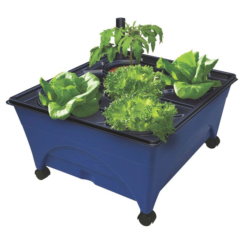 Harvest Planter Set Sage - Aerogarden