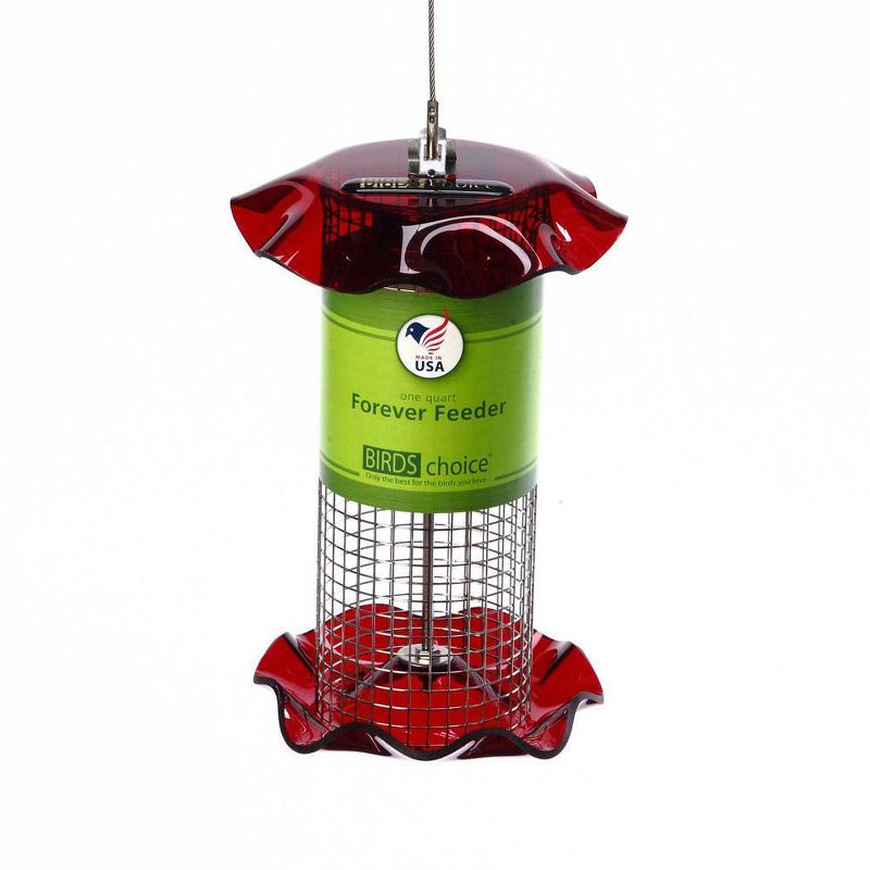 Birds Choice 1qt Forever Black Oil Sunflower Bird Feeder - Red