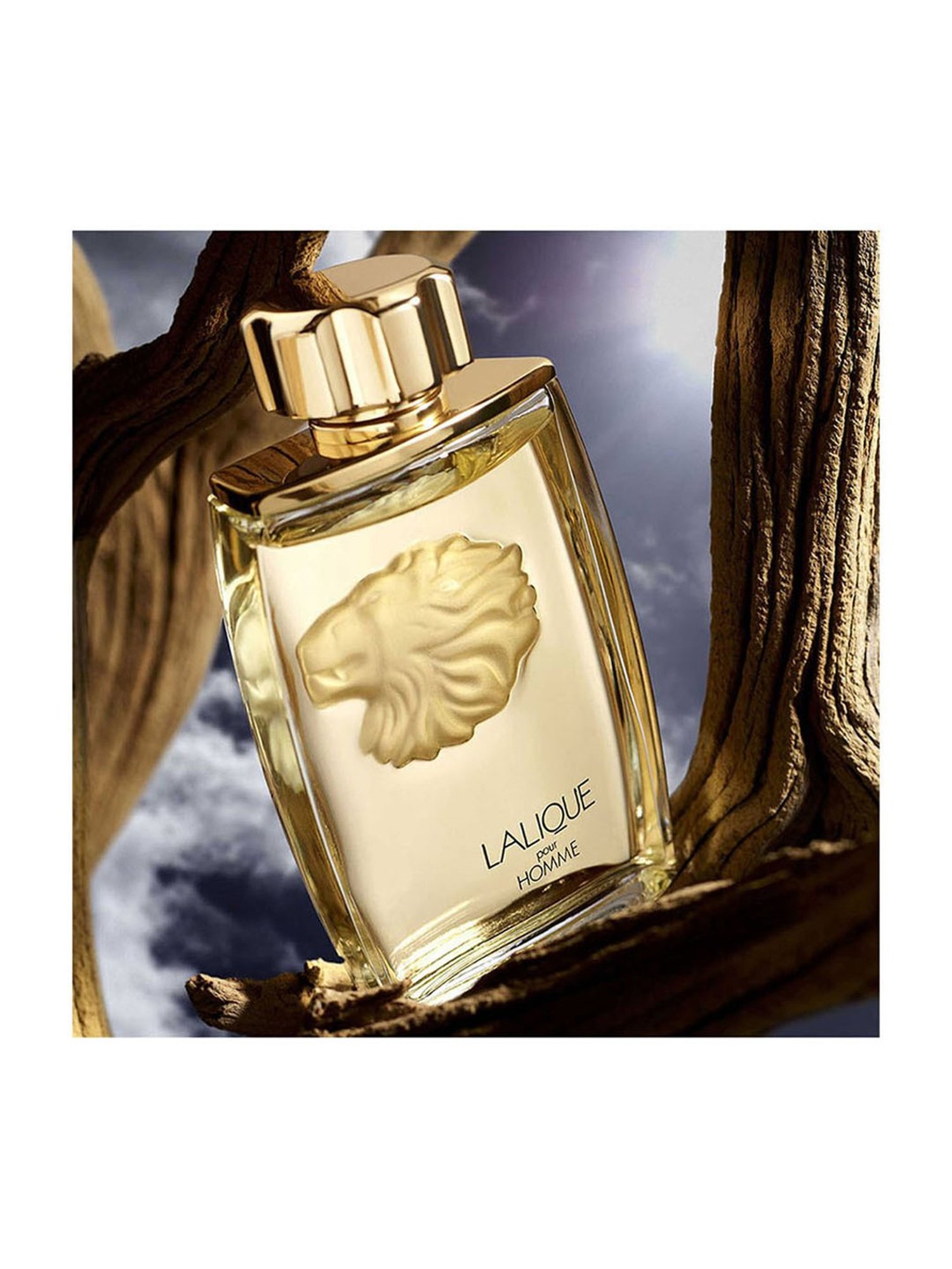 LALIQUE Lion Pour Homme Eau De Parfum for Men - 125 ml