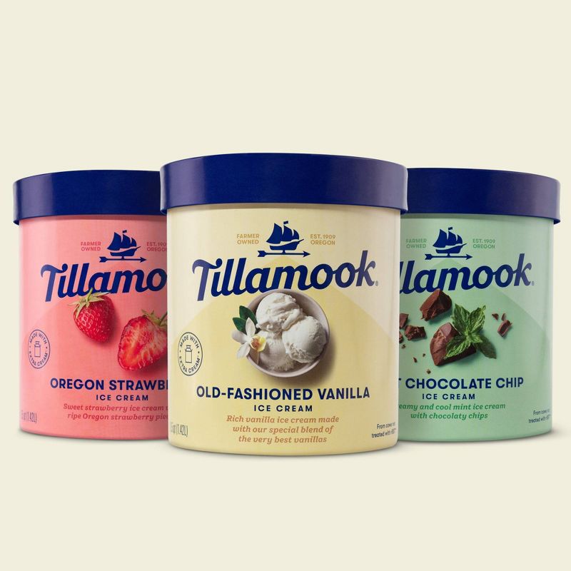 Tillamook Mint Chocolate Chip Ice Cream - 48oz