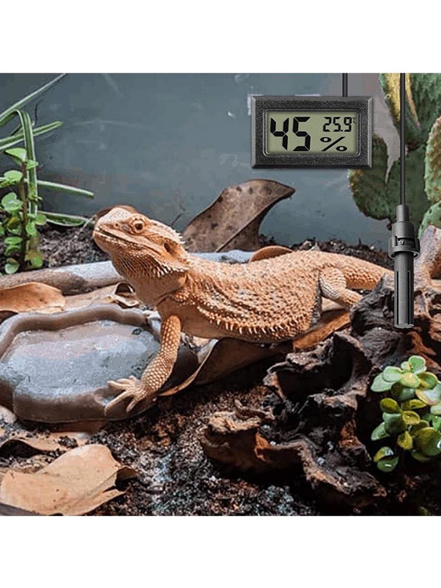 Rossmax EB100 Stethoscope (Black)