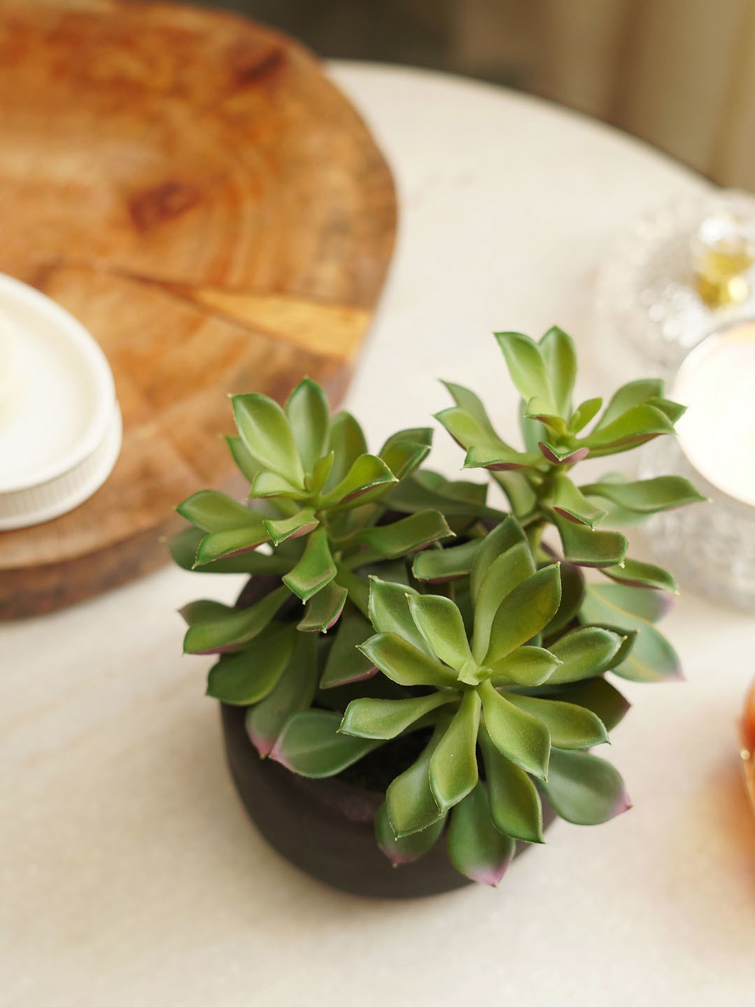 Pure Home and Living Green Plastic Succulents