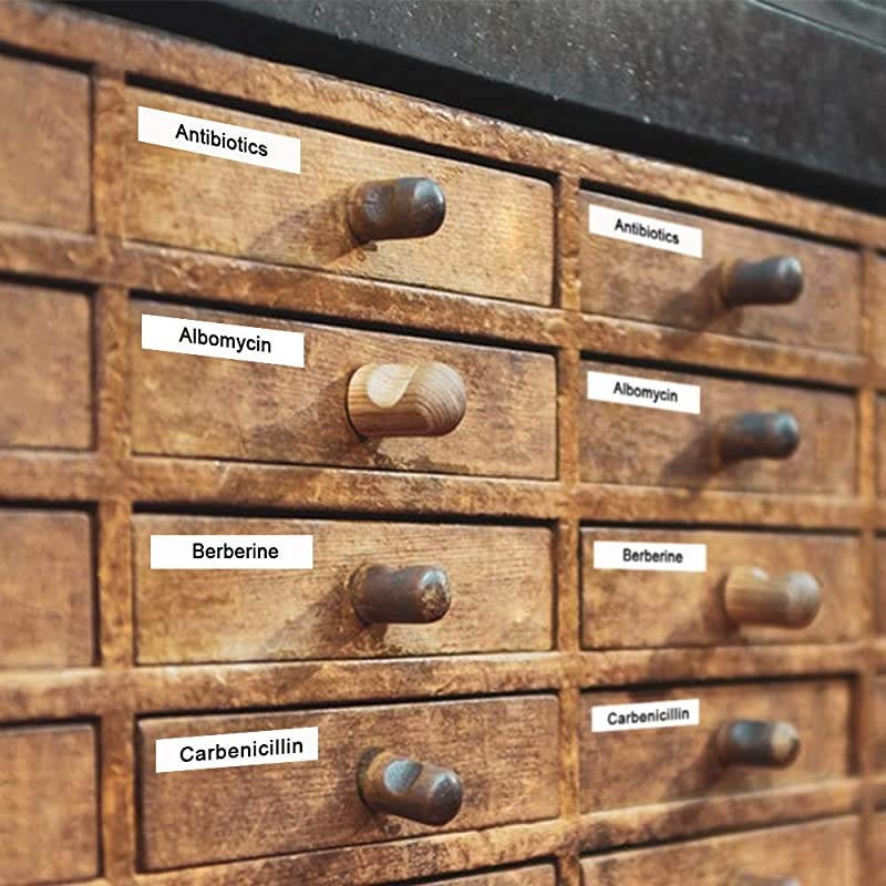 Compatible Tape Replacement for Brother Ptouch Label Maker Tape TZe-231 TZ-231 12mm 0.47 Laminated White for Brother P-Touch Cube, PTH110, PT-D210, PTD600, PTD400AD PT-1290,26.2Feet,5 Pack