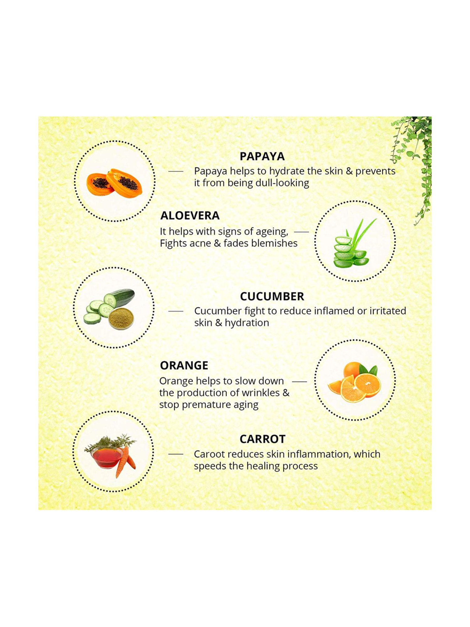 Aryanveda Papaya Facial Kit