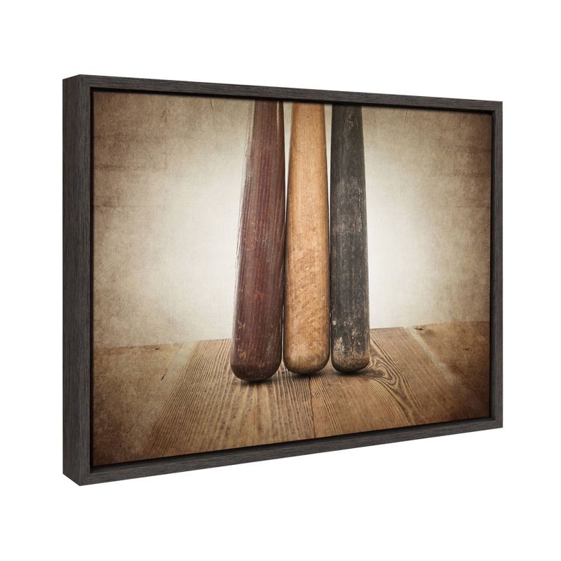18" x 24" Sylvie Three Vintage Bats Framed Canvas by Shawn St. Peter Gray - DesignOvation