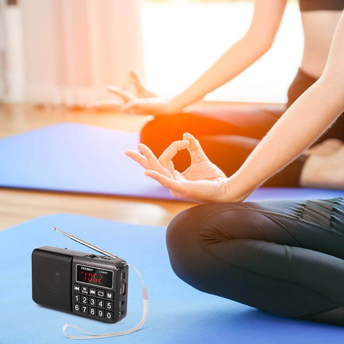PRUNUS Portable Radio SW/FM/AM(MW)/MP3/USB/SD/TF Rechargeable with Neodymium Speaker. Large Button and Large Display. Stores Stations Automatically. (NO Manual Memory/Delete Stations Function)