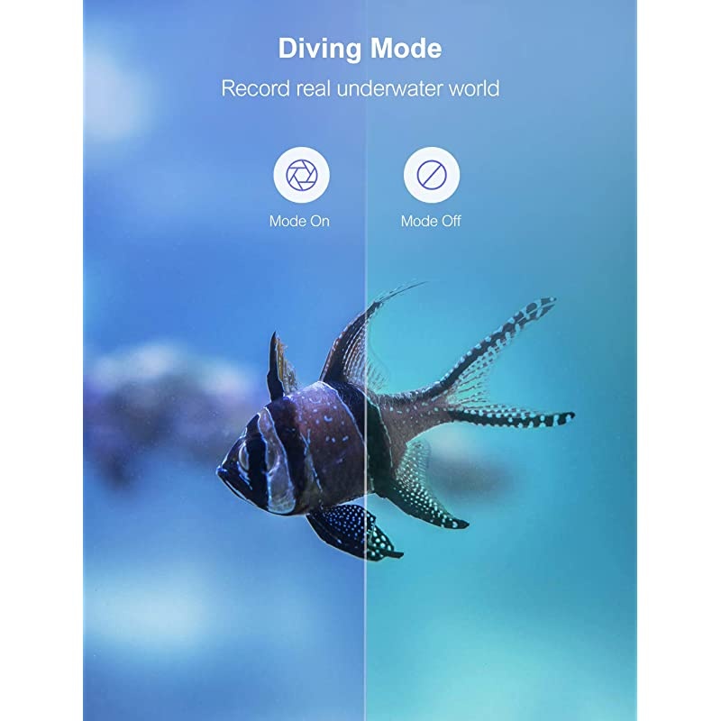 Ultra 4K 20MP Action Camera WiFi Enhanced Anti-Shake Time Lapse LDC Remote Control Sports Camera 40M Waterproof Underwater Vlog Camcorder with Accessories Kit CT9100