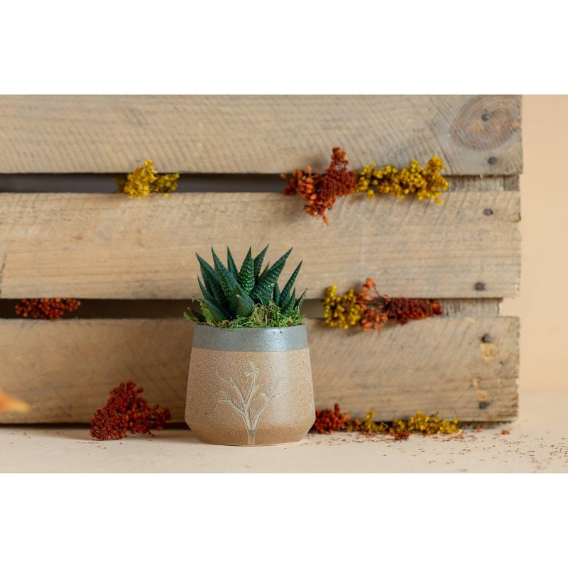 LiveTrends Tree Limbs - 2pk