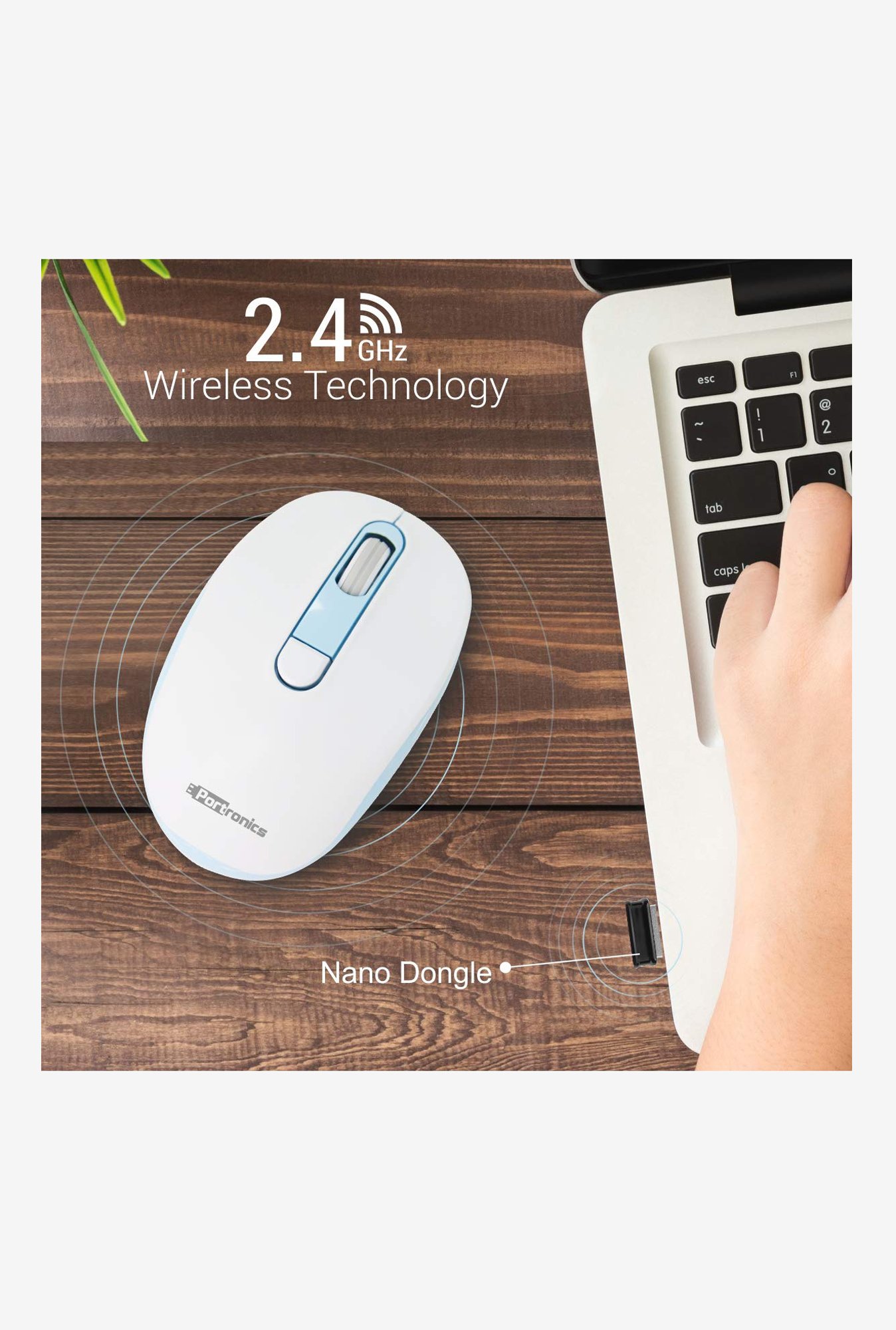 Portronics Toad 11 POR-015 Wireless Mouse (White/Blue)