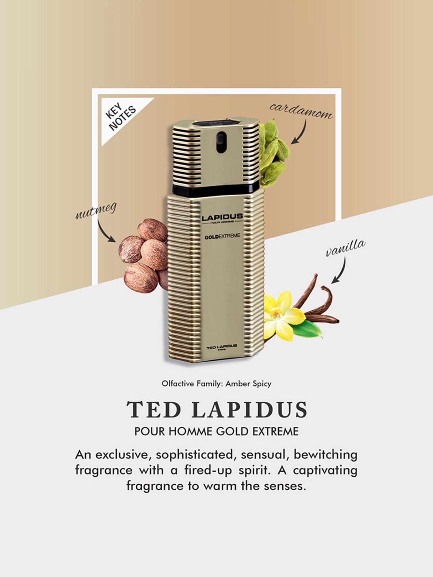 Ted Lapidus Pour Homme Gold Extreme Eau de Toilette - 100 ml