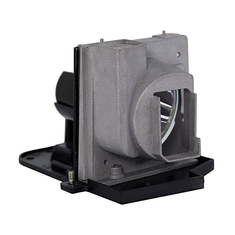 BLFP230C Replacement Lamp with Housing Compatible with OPTOMA DP7249 DX625 DX733 EP719H EP749 TX800