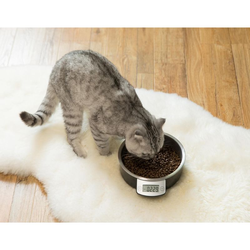 PawsMark Digital Scale Dog Feeding Bowl, Removable Washable Stainless Steel Bowl