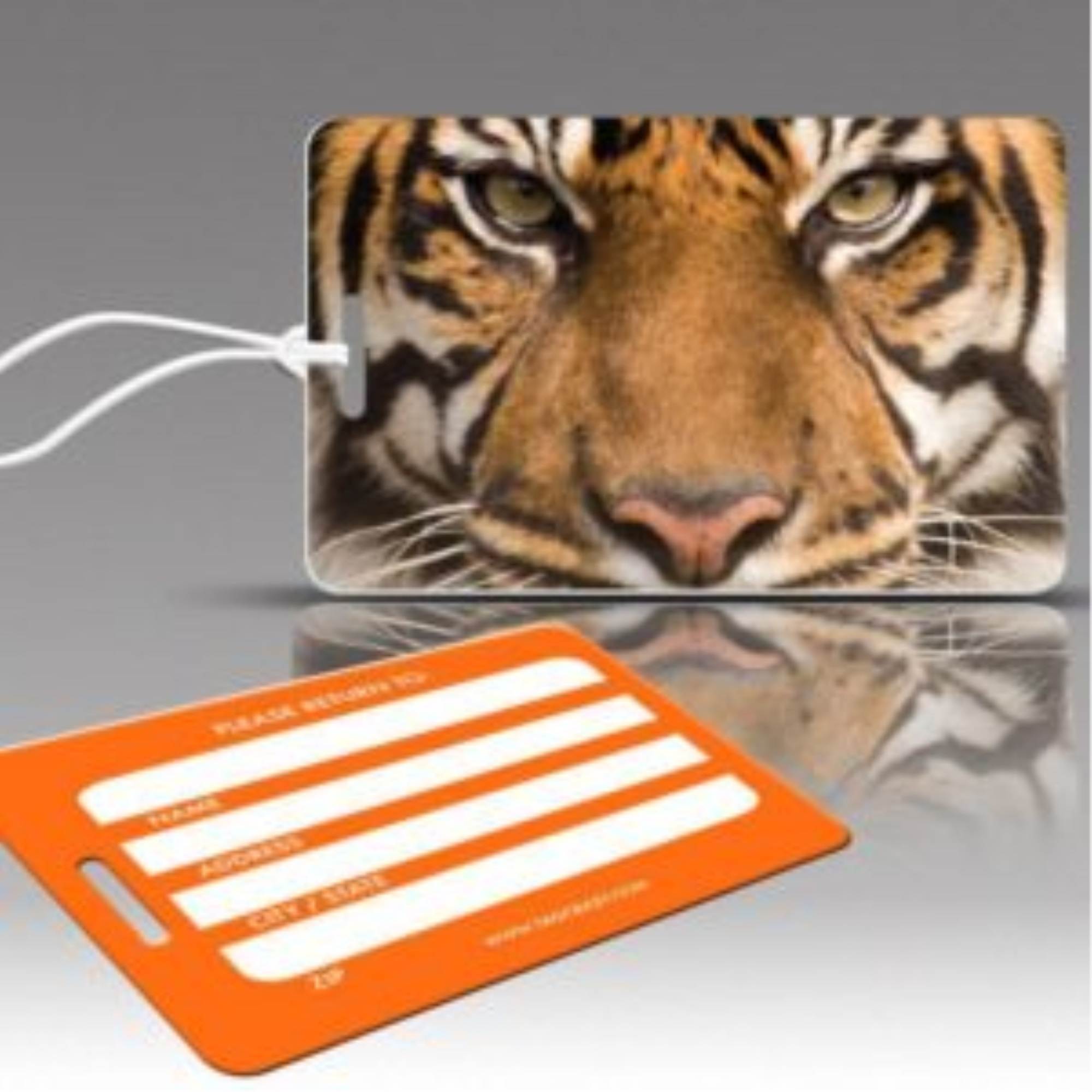 The Wildlife Collection - Tiger Face