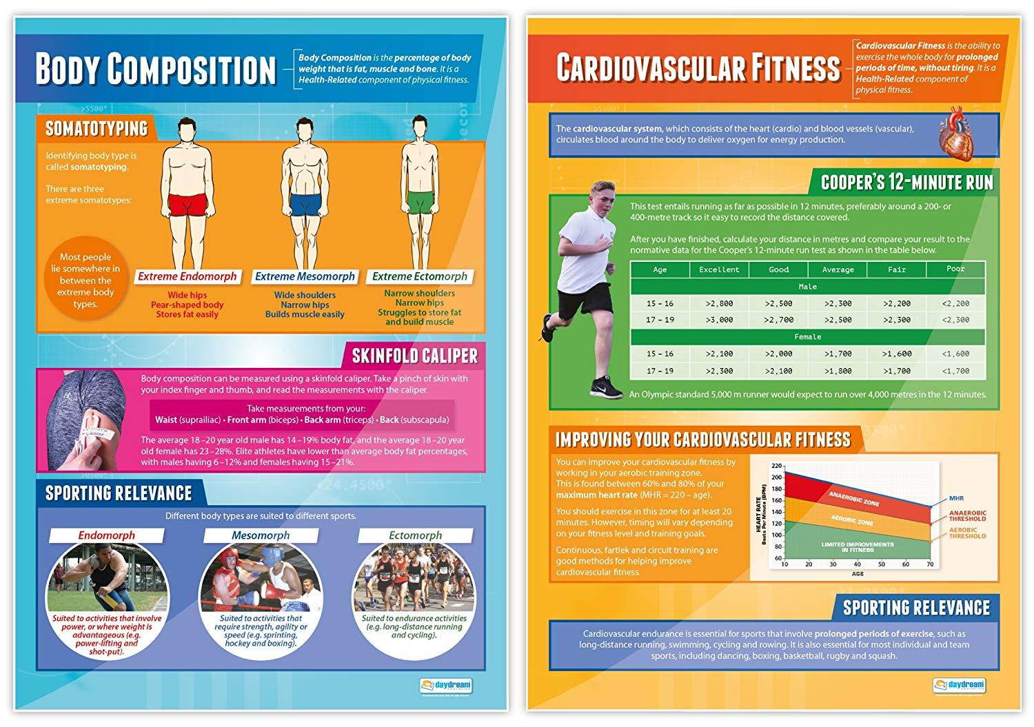 Components of Physical Fitness - Set of 12 PE Posters | Classroom Posters for PE | Gloss Paper measuring 33  x 23.5  | Phys Ed School Posters | Physical Education Gym Charts, by Daydream Education