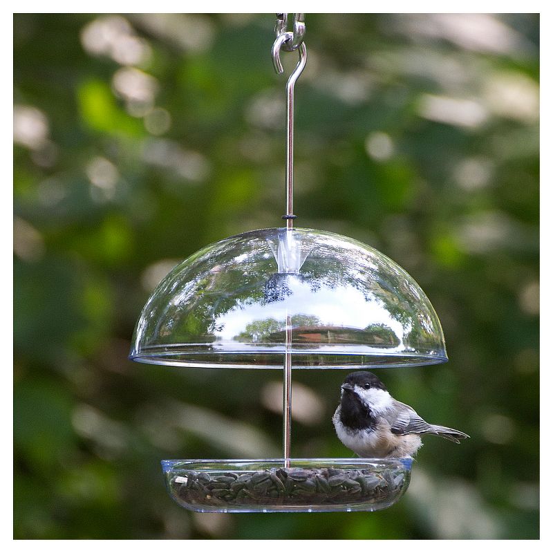 Droll Yankees The Cutest Chickadee Feeder - Clear