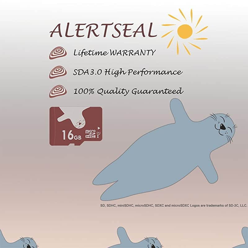 16GB UHSI U1 Class 10 C10 microSDHCTF Flash Memory Cards 2 pcs wSD adapters