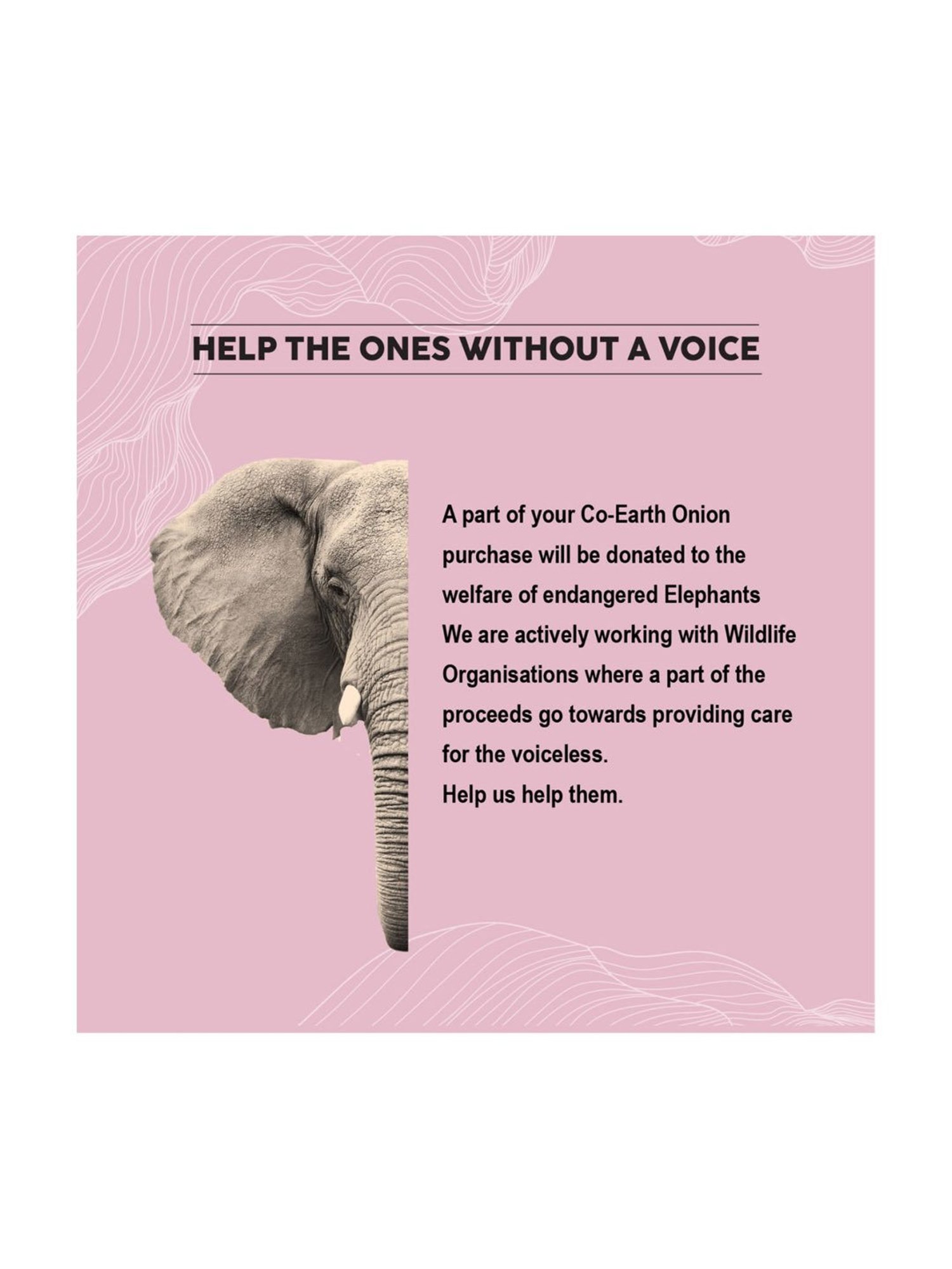 Earthraga Hair Gain Redensyl Serum - 50 ml