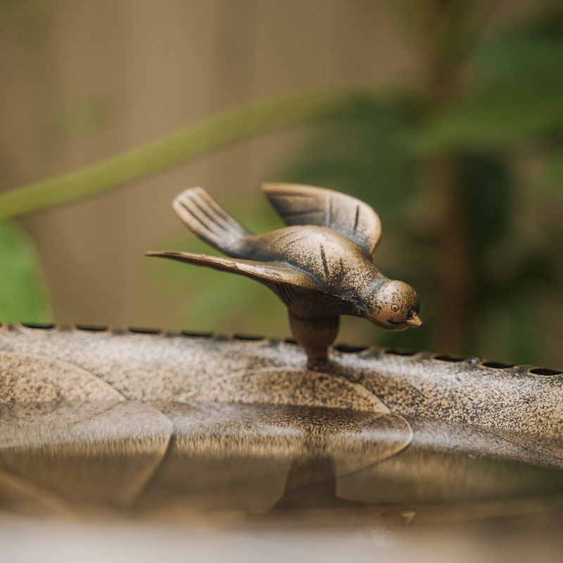 24" Lightweight Plastic Outdoor Birdbath and Feeder Bronze - XBrand