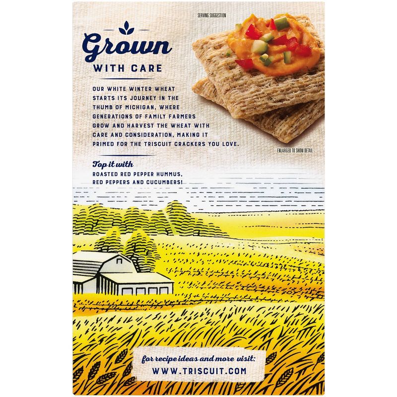 Triscuit Tzatziki - 8.5oz