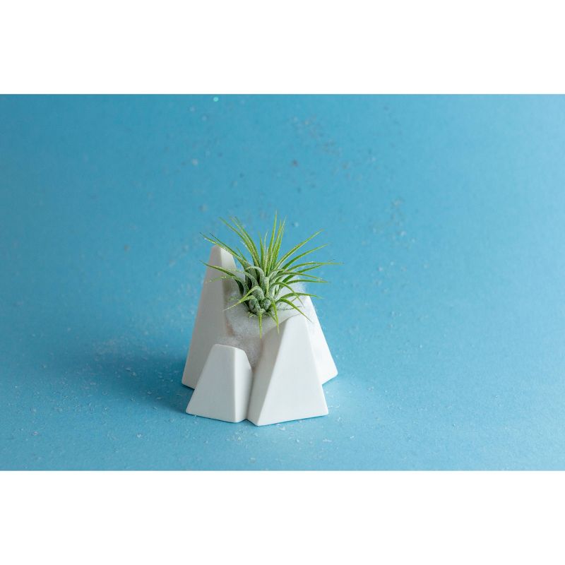 LiveTrends Ice Mountain