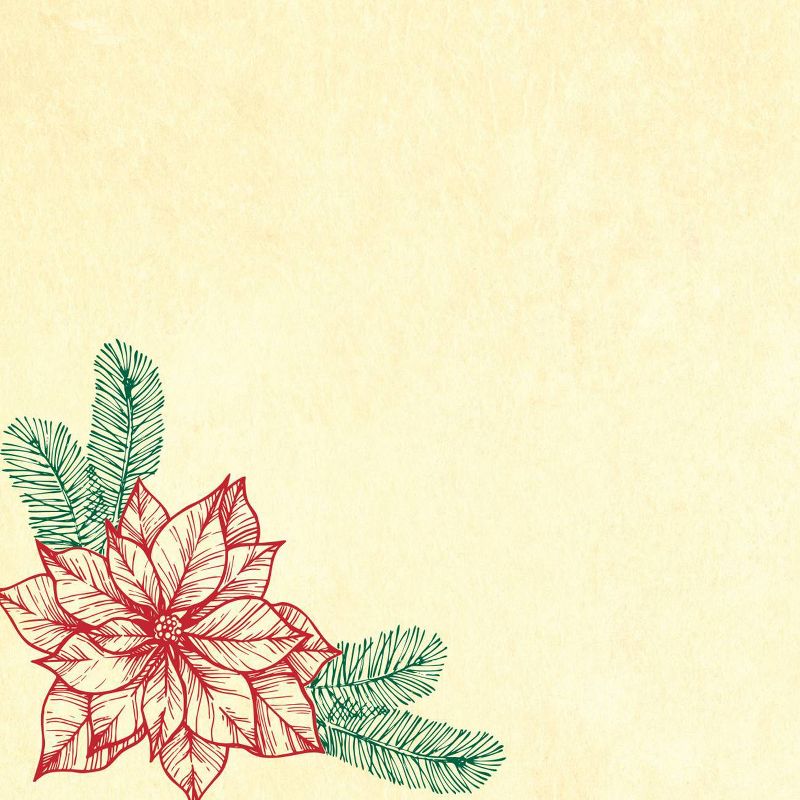 40ct Poinsettia Foil Envelope