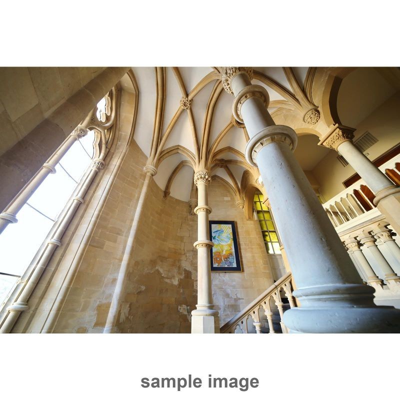 Rokinon 14mm F2.8 AF Wide Angle, Full Frame Auto Focus Lens for Canon EF