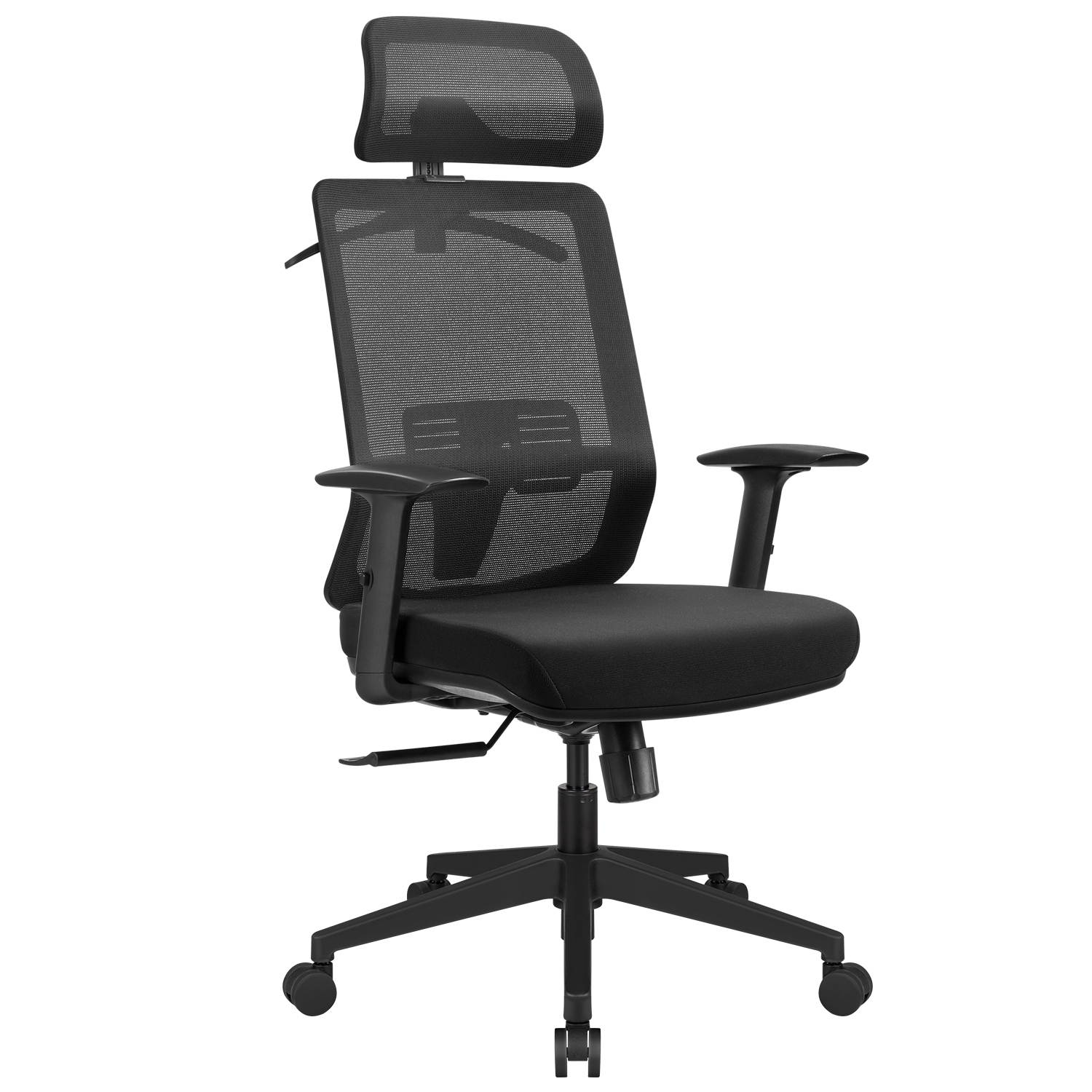 Furmax Ergonomic Office Chair High Back Desk Chair Mesh Computer Chair with Adjustable Headrest, Lumbar Support, Armrests and Clothes Hanger (Black)