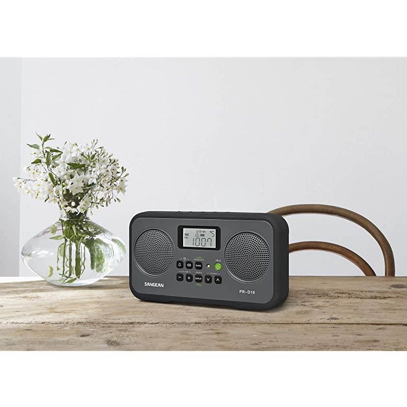 PR-D19BK FM Stereo/AM Digital Tuning Portable Radio with Protective Bumper (Gray/Black)