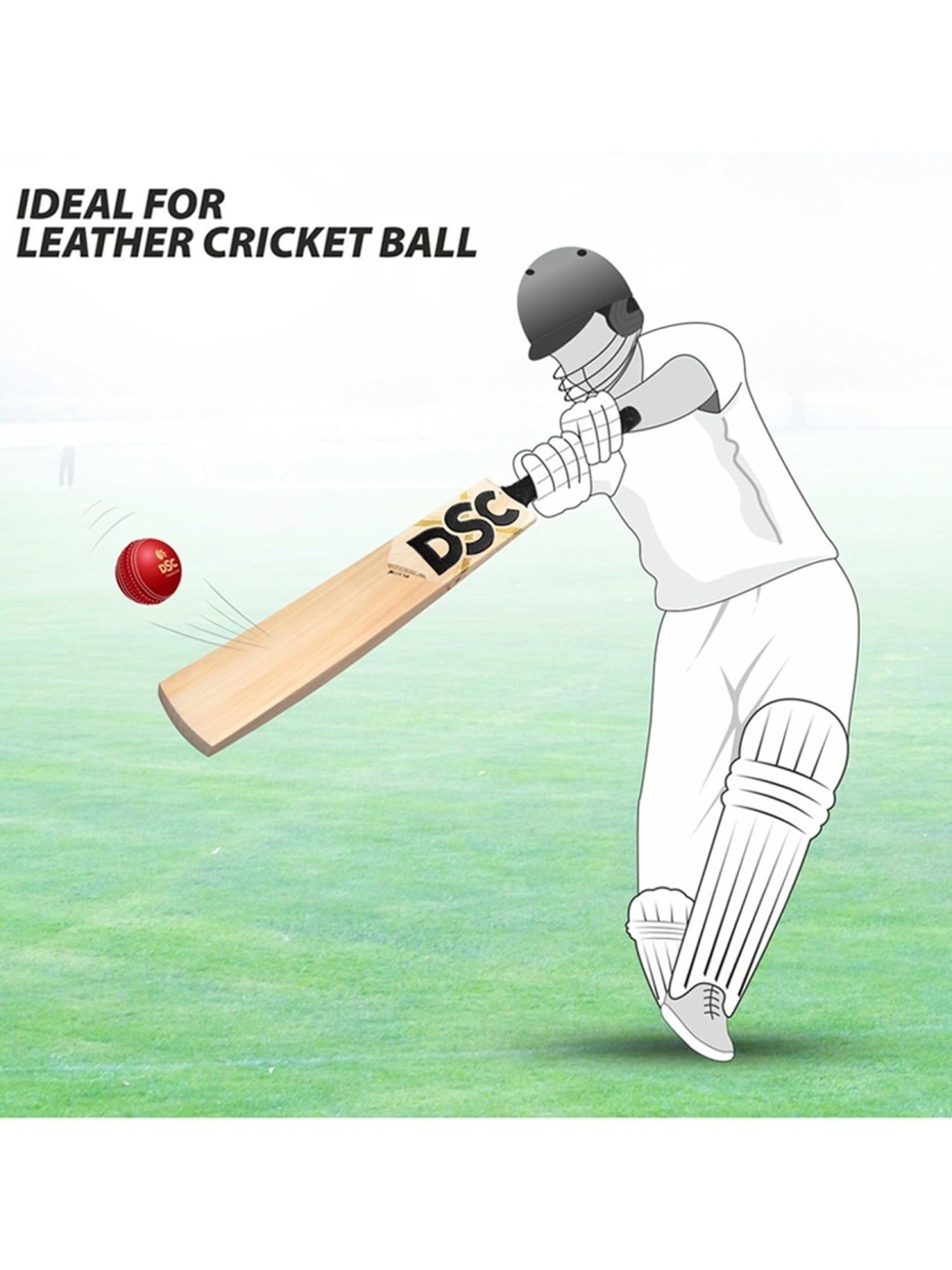 DSC XLITE 1.0 English Willow Cricket Bat Size - Mens