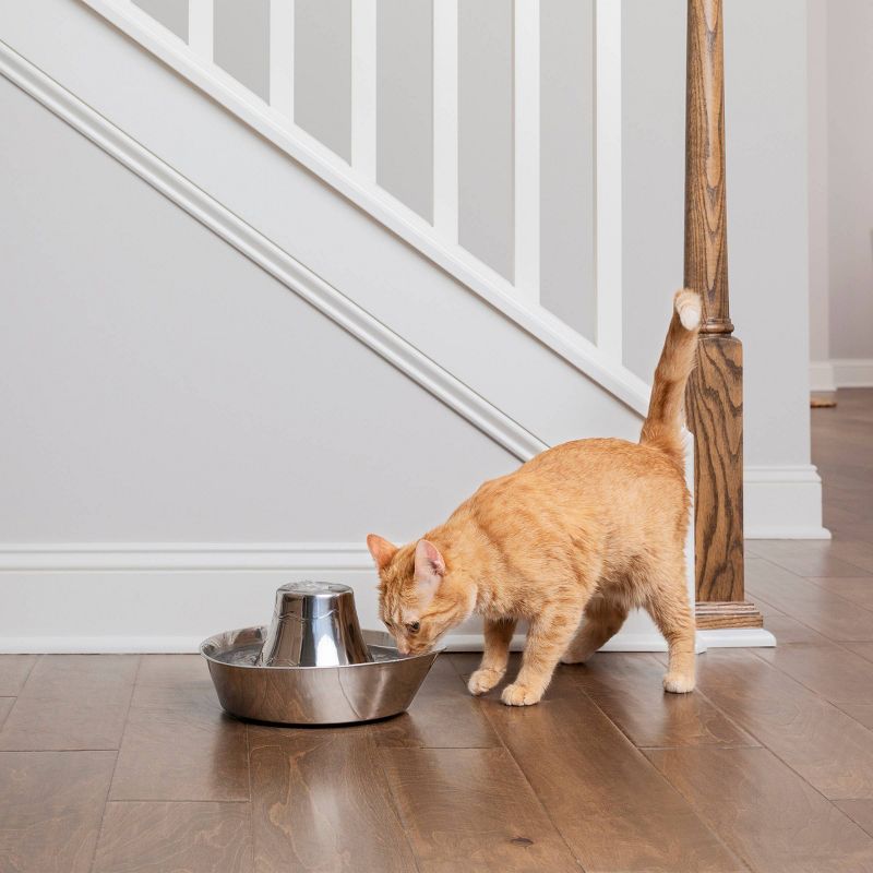 Pet Genius Smart Pet Fountain Filter - White