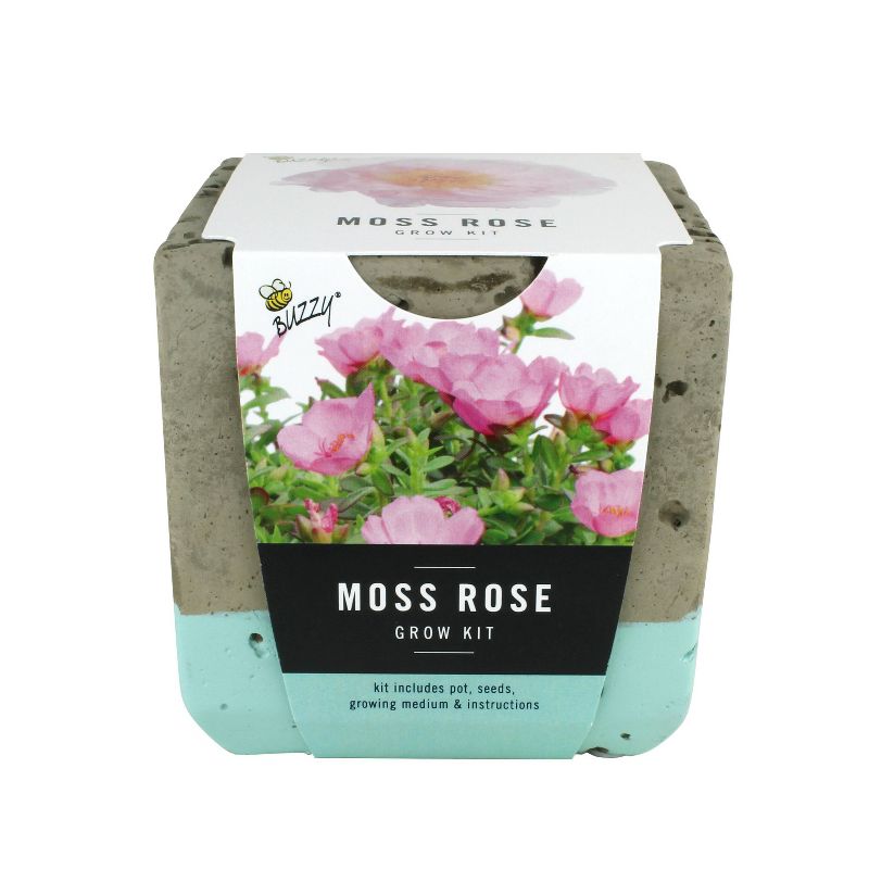 Van Zyverden Roses Mikado Root Stock