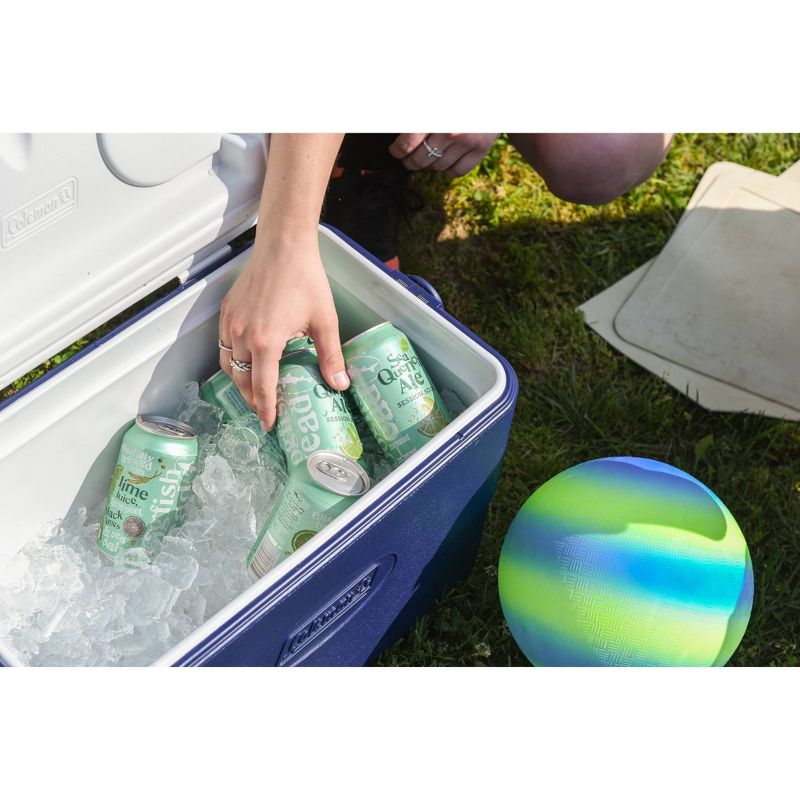 Dogfish Head SeaQuench Ale Session Sour Beer - 19.2 fl oz Can