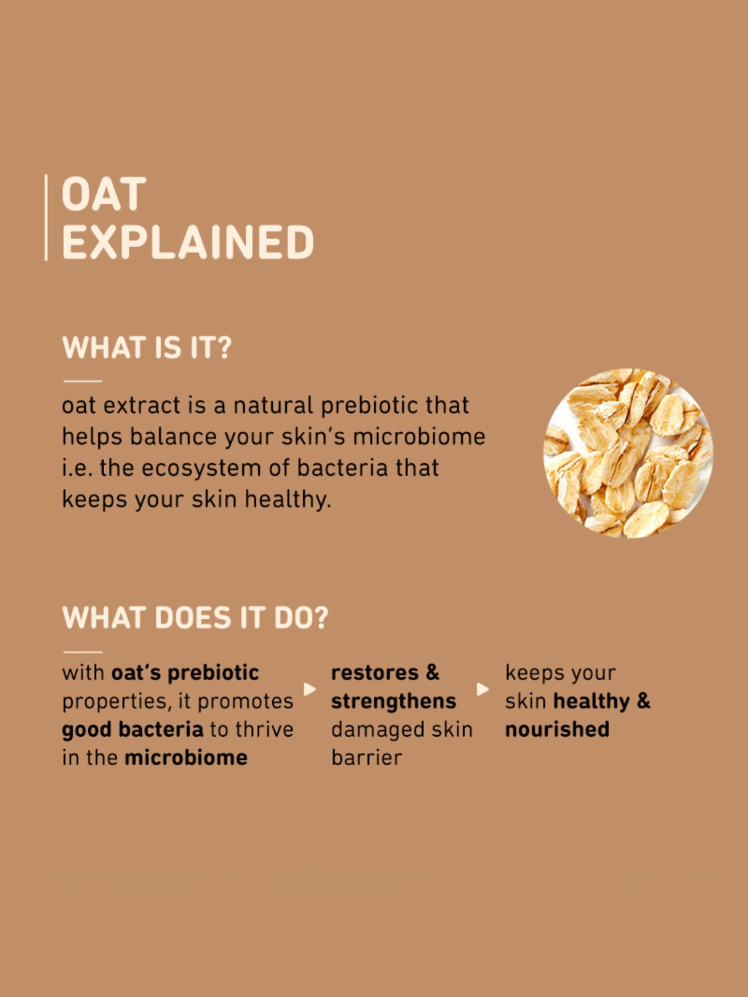 Plum 1% Oat & Allantoin All-Day Nourishing Face Cream - 50 gm