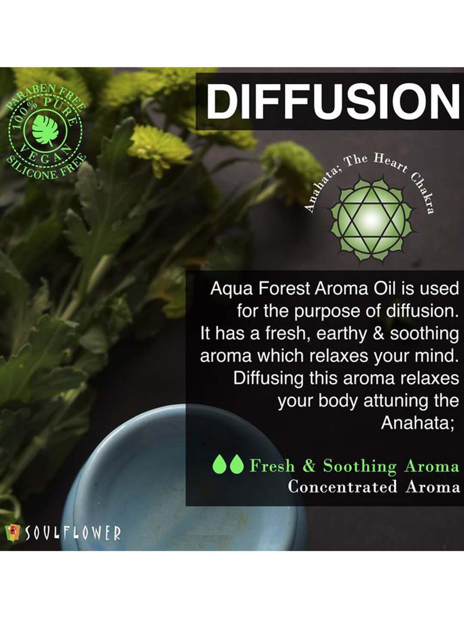 Soulflower Aqua Forest Aroma Oil (30 ml) - Set of 1