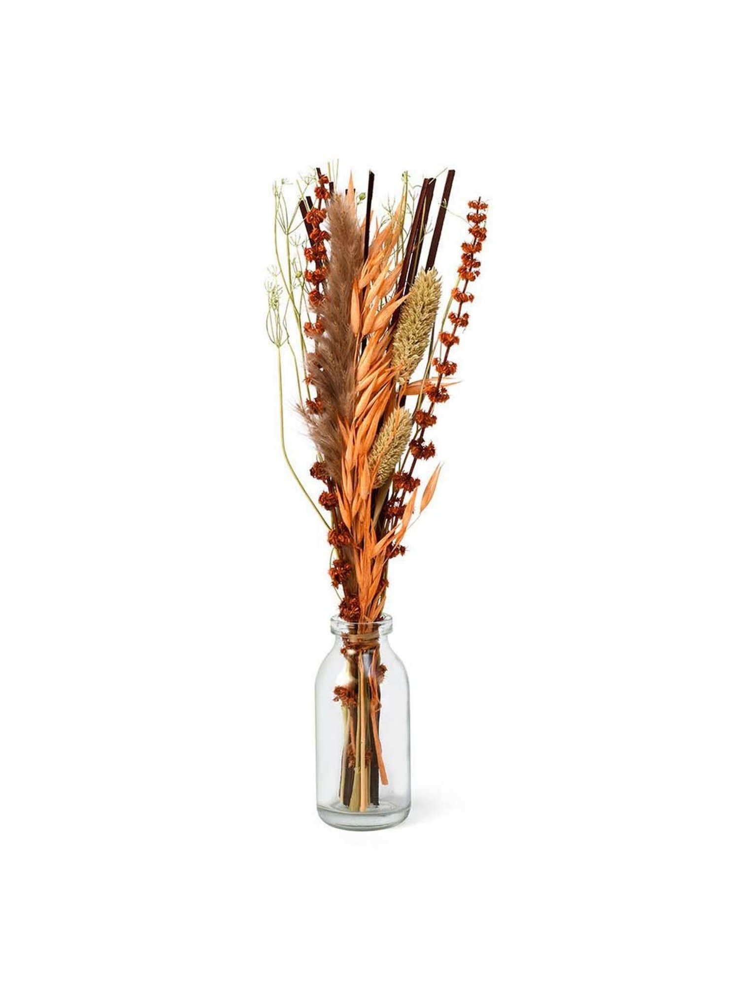 @home by Nilkamal Arias Decorative Glass Vase with Dry Flowers (Transparent & Brown)