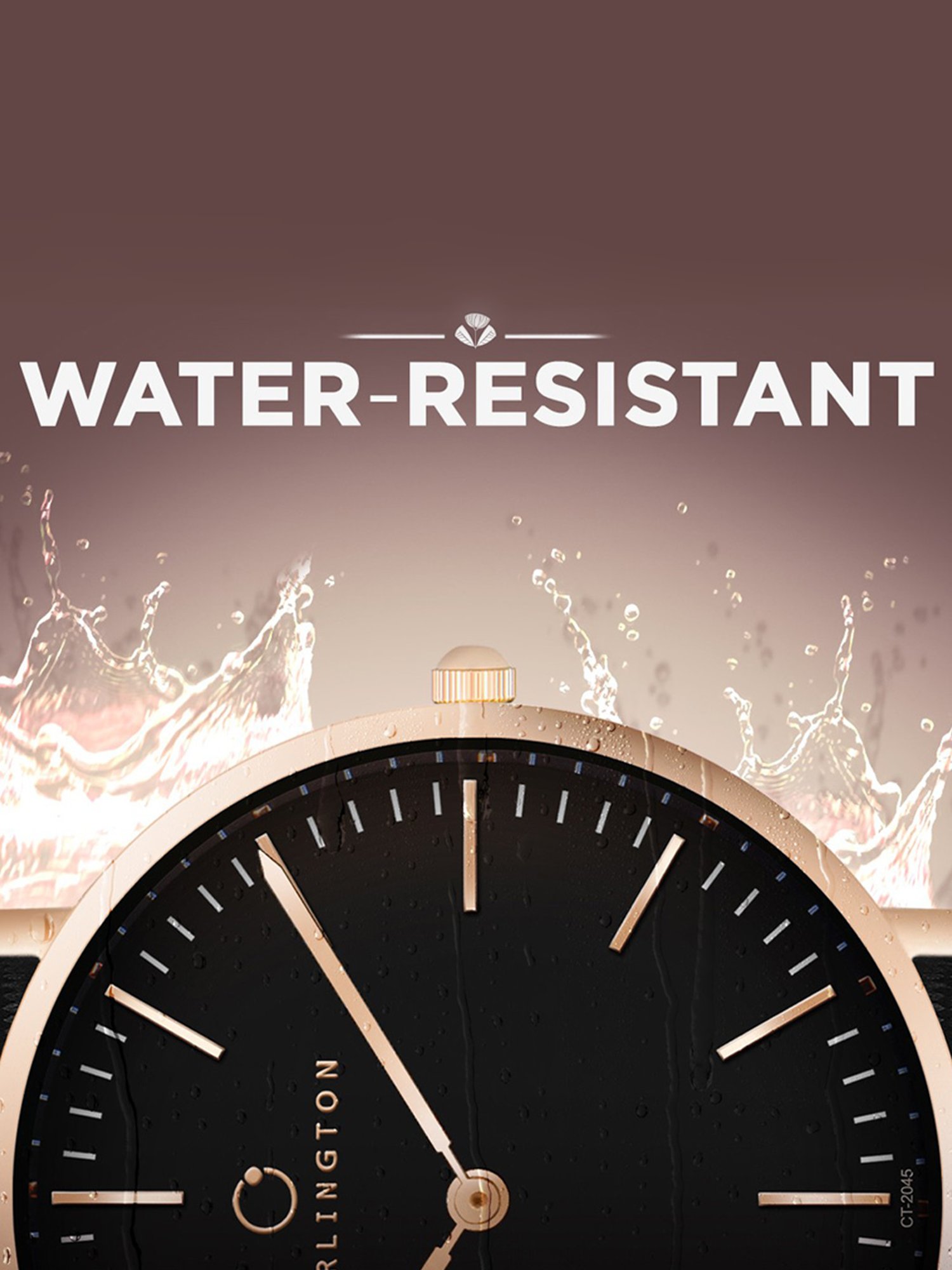 Carlington Iconic 2045 Black Men Analog Watch for Men